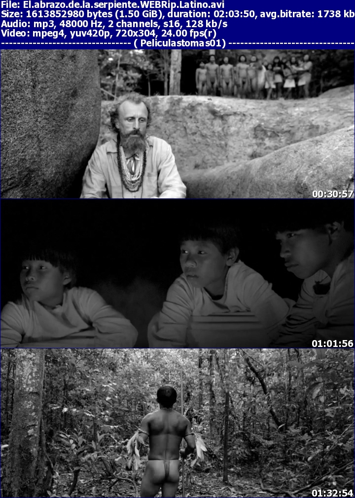 descargar mejor torrent el abrazo dela serpiente