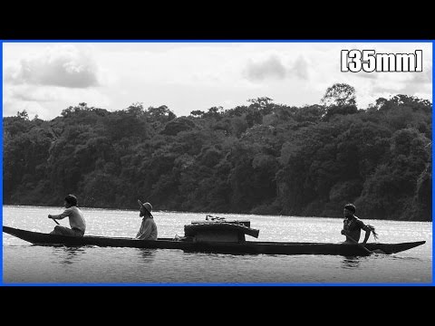 descargar mejor torrent el abrazo dela serpiente